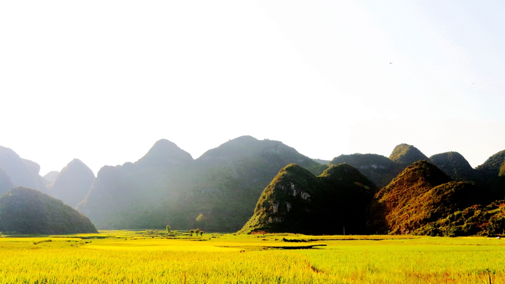 1566280179948537.jpg IMG_7468.jpg