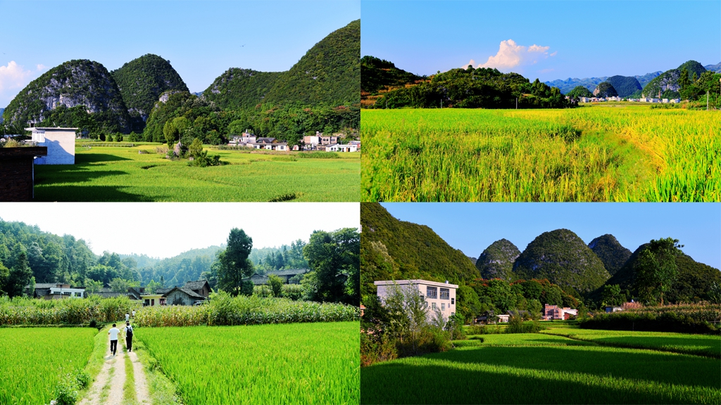 1566280235711135.jpg 未標題-1.jpg