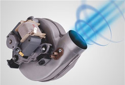 1574147856512505.jpg 5.jpg