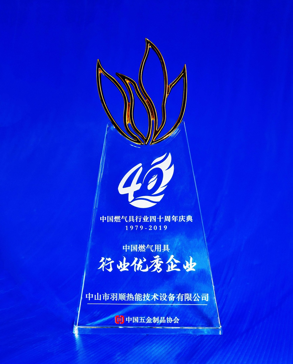 中國燃?xì)庥镁咝袠I(yè) 優(yōu)秀企業(yè)