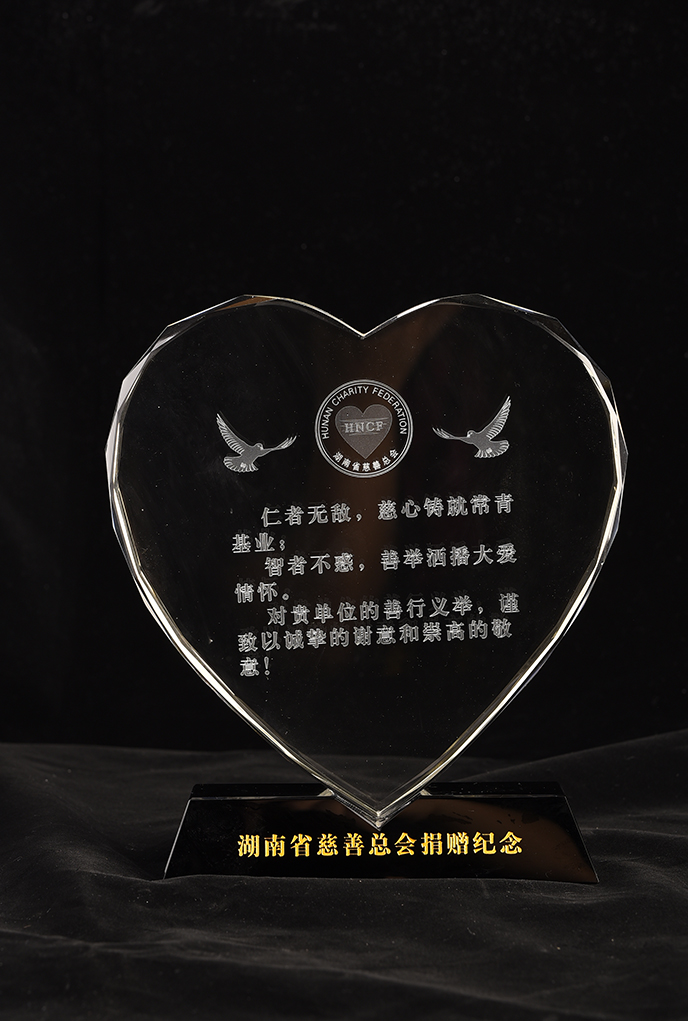 湖南省慈善總會捐贈家用燃氣壁掛爐應用案例效果